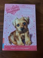 les chiots magiques n°7 Un défilé fantastique