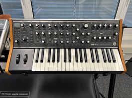 MOOG Sub 37