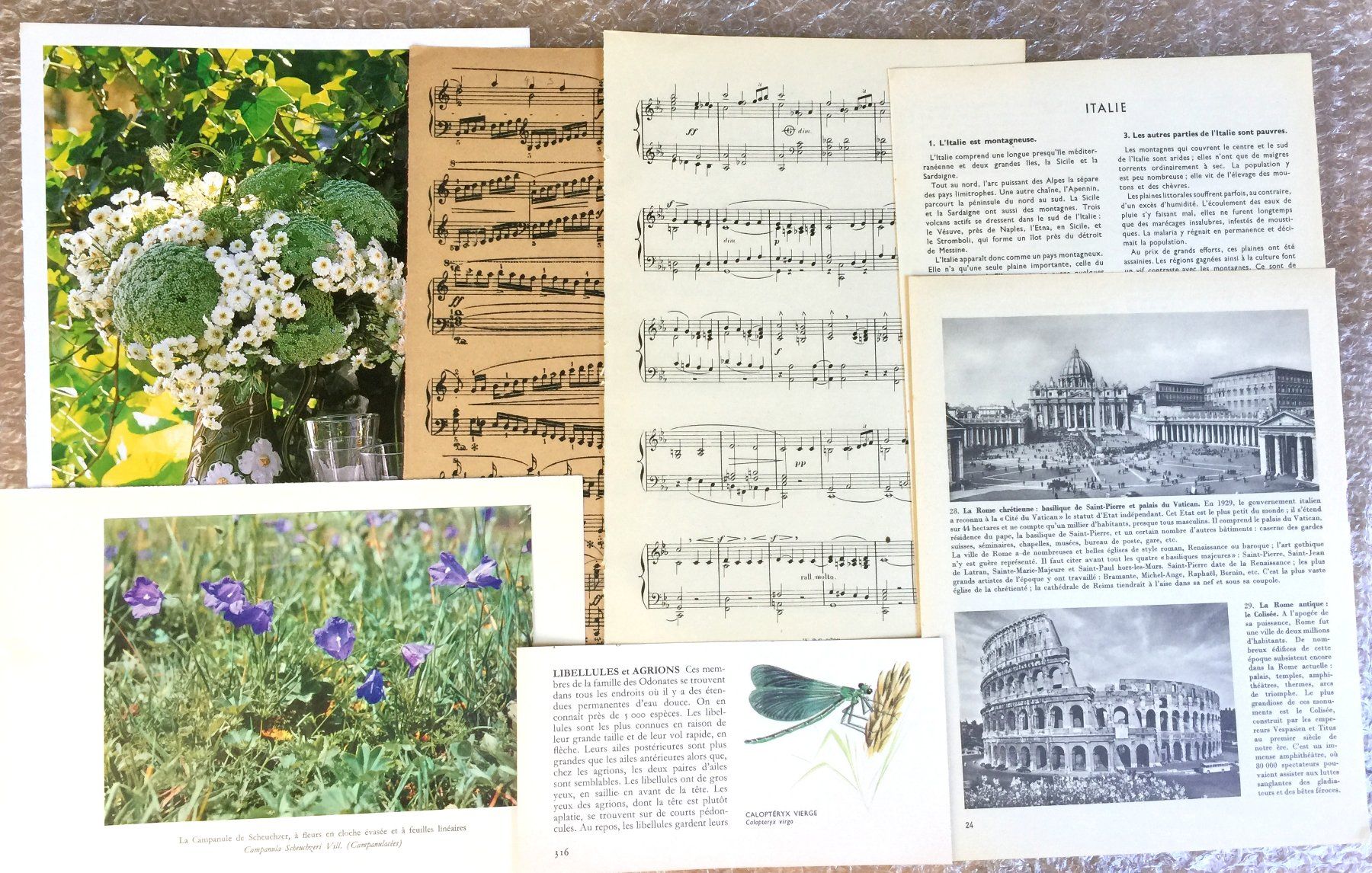 Libri: ephemera 8/papier collage bastelpapier scrapbooking +Versand – Usato da Pully venduto da websurfer1 6