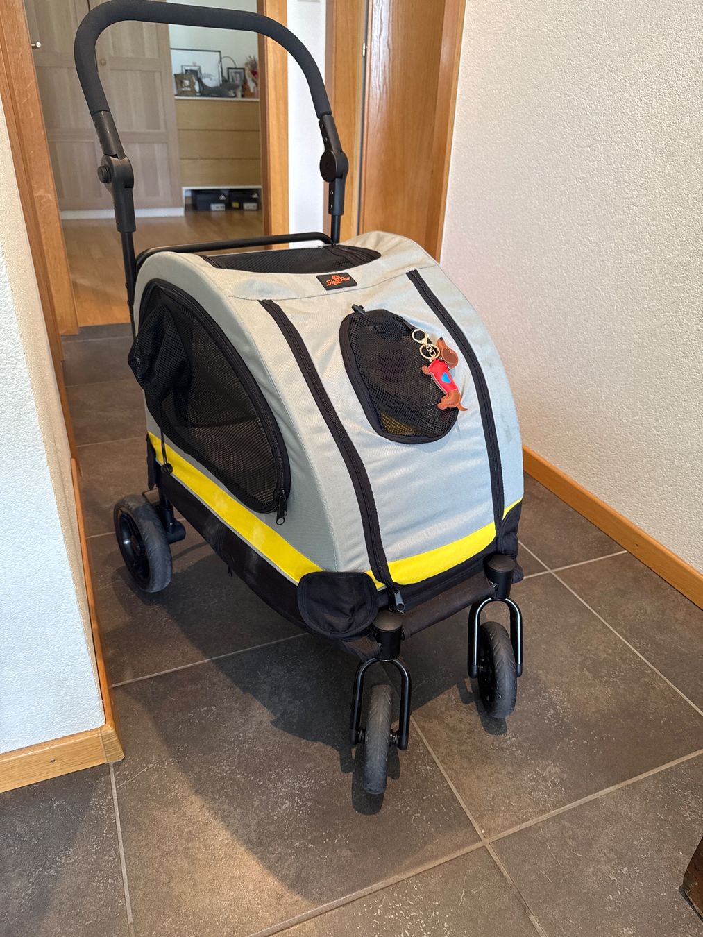 Carrozzine: Buggy / poussette pour chien – Usato da Bramois venduto da rig_8pq7