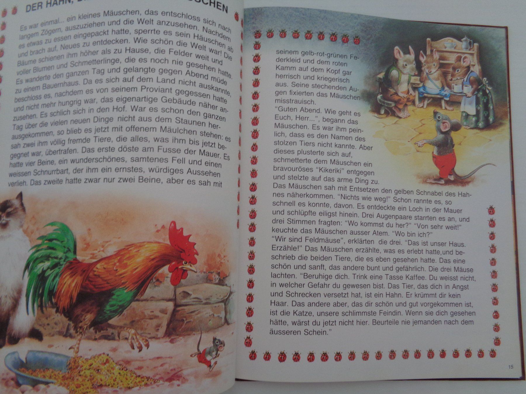 Libri: Der Hase und die Schildkröte – Usato da Chur venduto da Oregano1 5