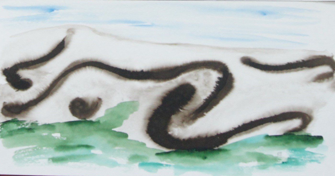 Gemälde: Tusche Zeichnung: Long body – Neu (gemäss Beschreibung) aus Fribourg von erw_68dx