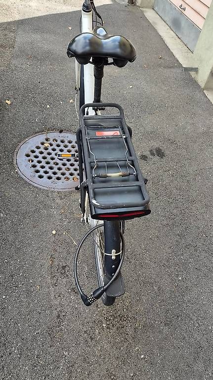 Leopard Biciclette: Leopard Vita City E-Bike – Usato da Horgen venduto da domdomdomdom 1