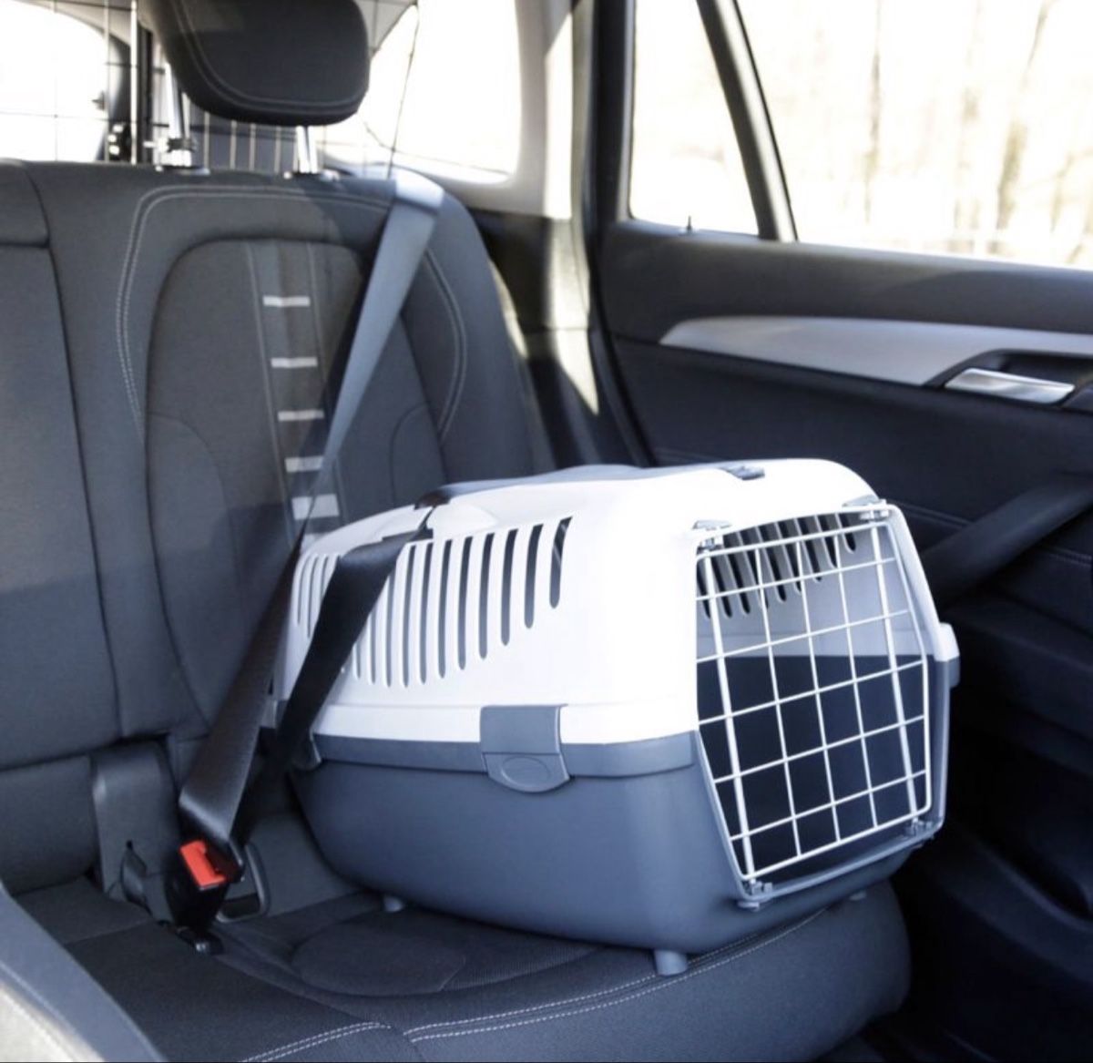 Gabbie, trasporto & Sicurezza: Transportbox – Nuovo (secondo la descrizione) da Brunnen venduto da ser_jhv7 1