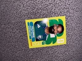 Panini Sticker KSA 18, Saudi Arabien WM 2026