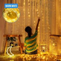LED Lichtervorhang Lichterkette 3x3m