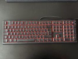 Clavier Gamer Razer Ornata V2 RGB