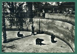 Bern, Bärengraben, belebt, ungelaufen, Grossformat, ca. 1935