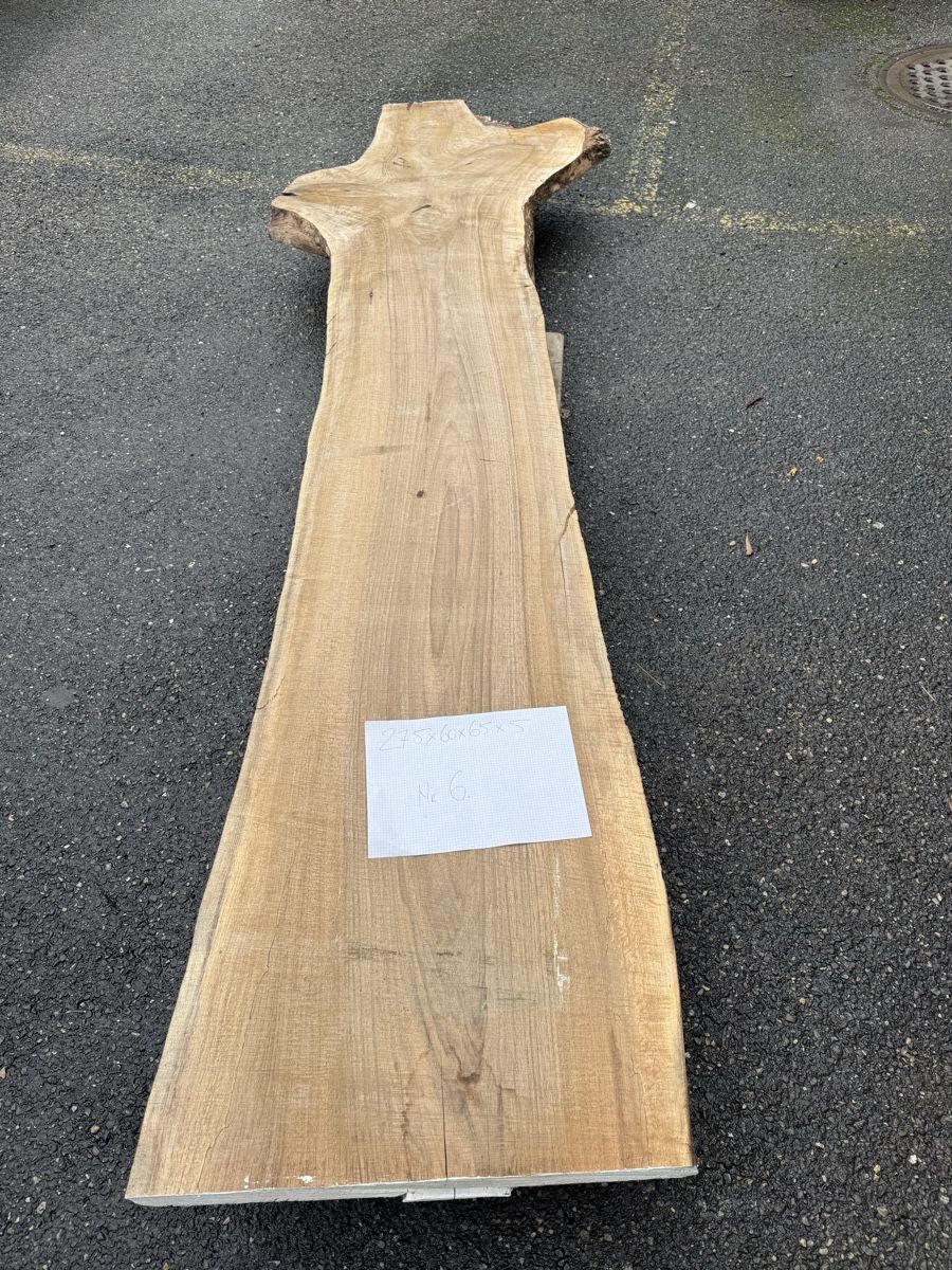 Articoli in legno: Nussbaum Klotzbrett 275  cm lang! – Usato da Gränichen venduto da onkel_xxl 3