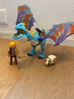 Playmobil Drachenzähmen