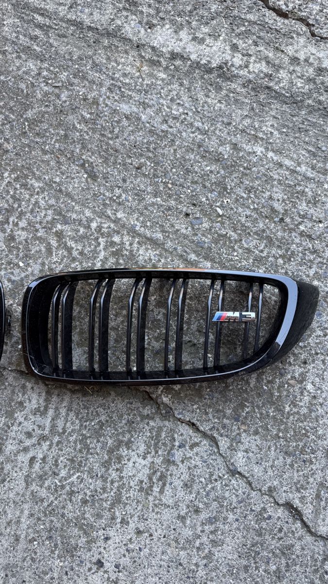 Tutti pezzi di ricambio auto: BMW F80 Nieren Grill  – Usato da Obfelden venduto da RicardoHG 1
