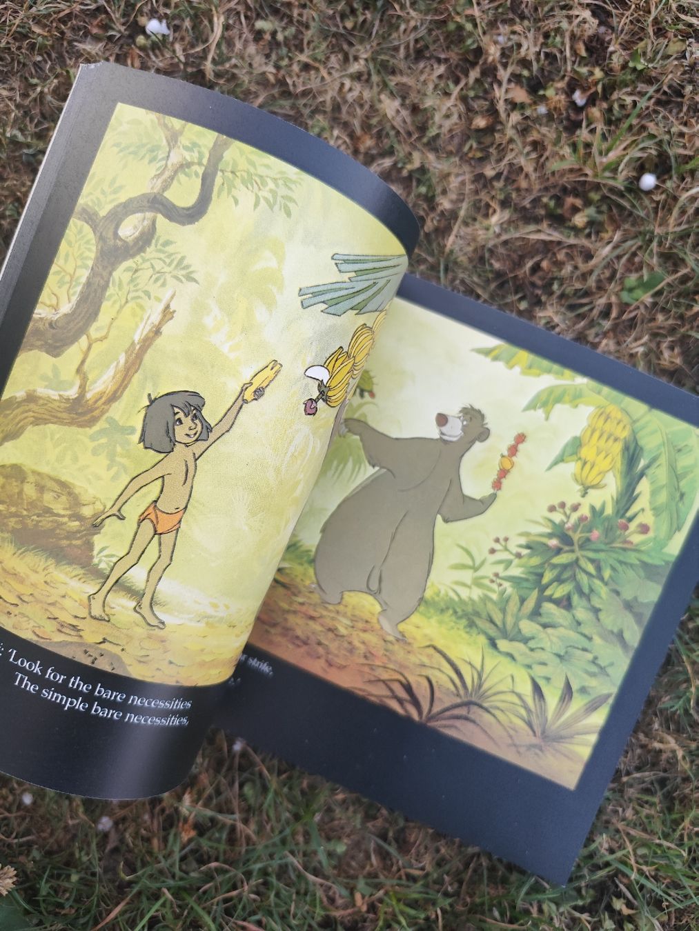 Bücher: Walt Disney The Jungle Book – Gebraucht aus Mägenwil von VintageGirly 3