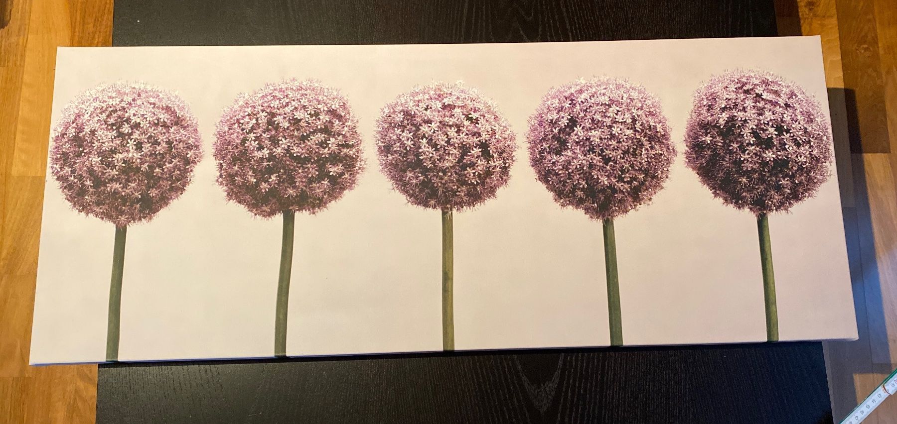 Foto & Immagini: Leinwandbild Blumen – Usato da Köniz venduto da sa12be