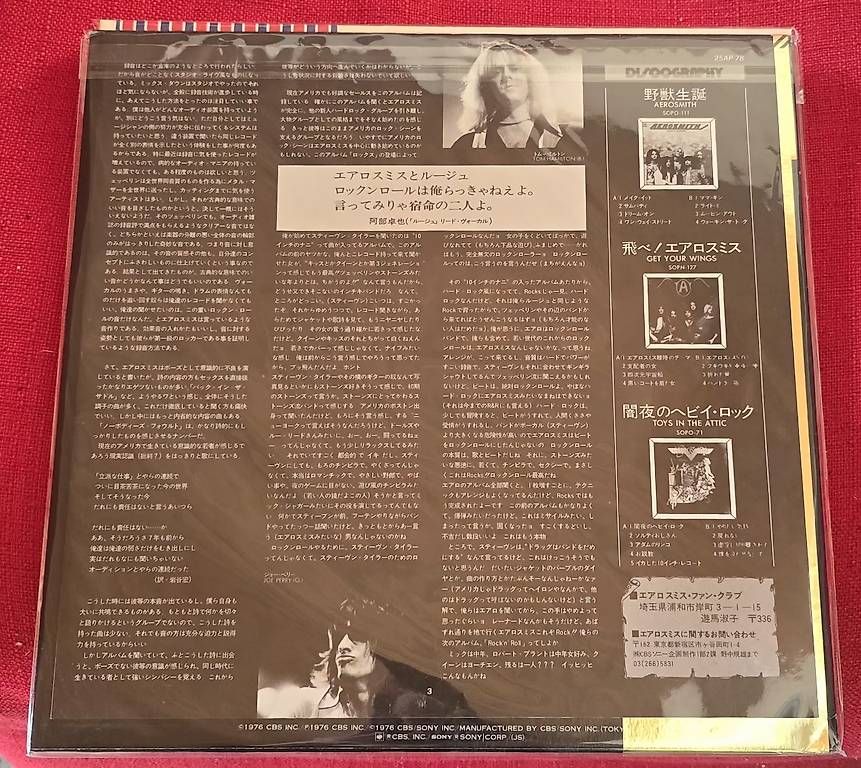 Dischi in vinile: Vinile Aerosmith  – Usato da Bellinzona venduto da Be.Monte 1