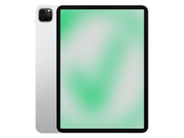 Refurbished iPad Pro 2. Gen (2020) 128 G