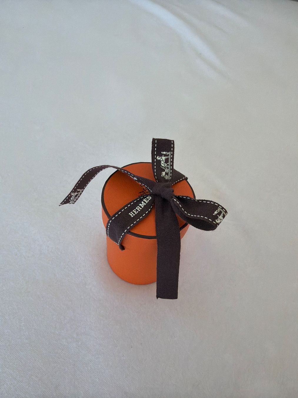 Casse di trasporto: Hermès Twilly Box – Usato da Roggwil TG venduto da est_r5x7 2