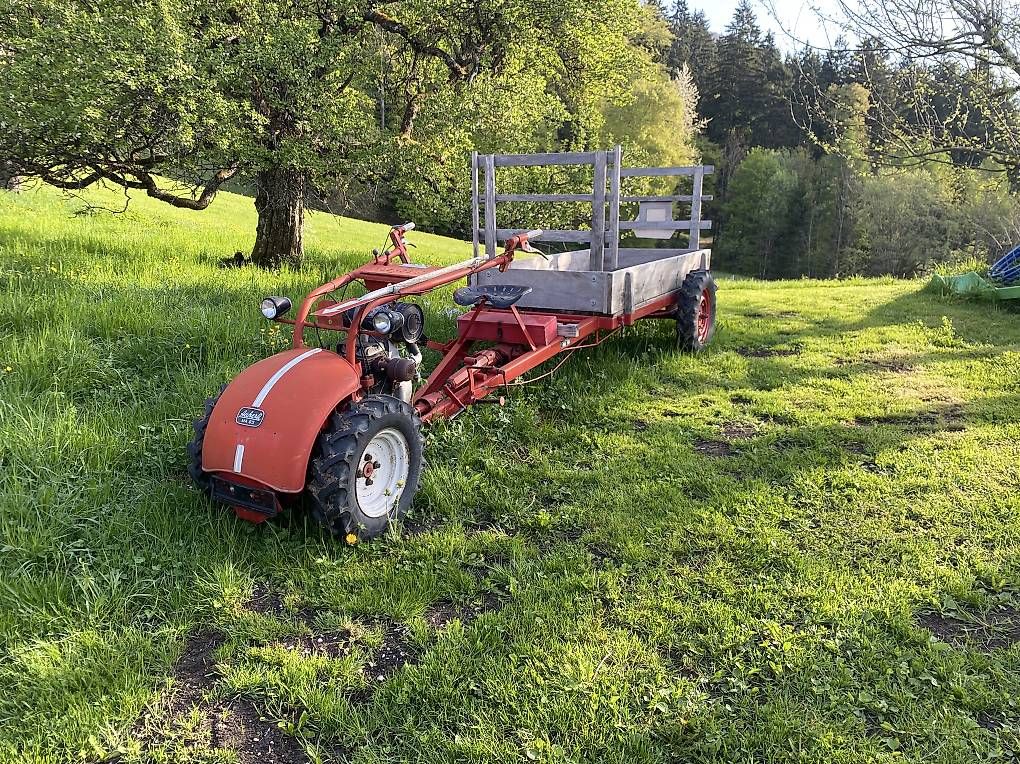 Trattori: Aecherli MA65 – Usato da Günsberg venduto da higa4524