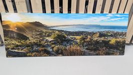 Bild von der Küste Hermanes im Cape of Südafrika 142x50x2cm