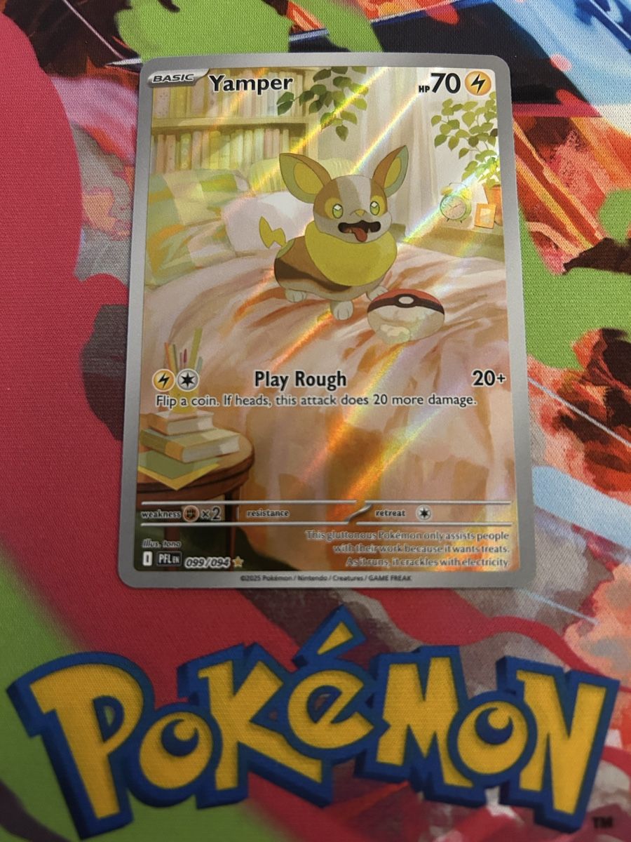 Pokémon Yamper 099 PFL EN ab 5.! (Neu (gemäss Beschreibung))