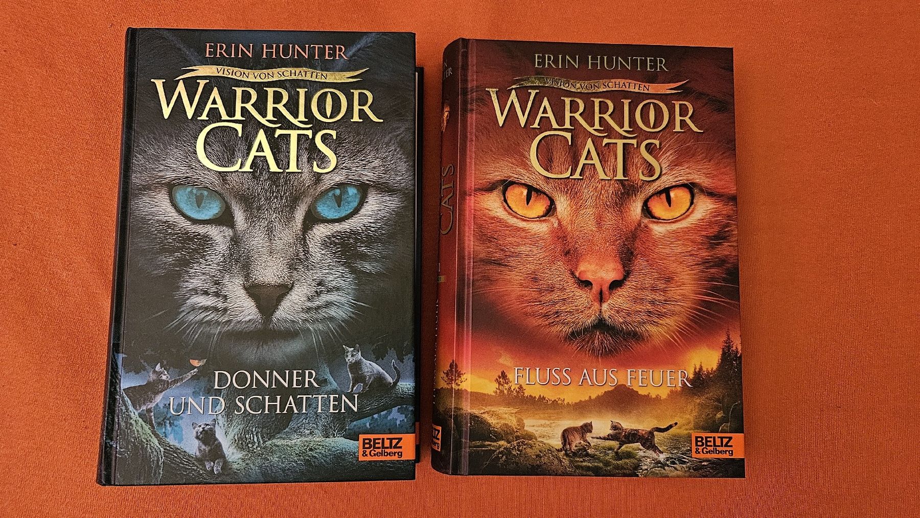 Libri: Warrior Cats Staffel 6 Band 2&5 – Usato da Grenchen venduto da ailina_aeschlimann
