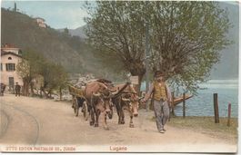Landwirtschaft/Ochsenfuhrwerk 1910 Lugano