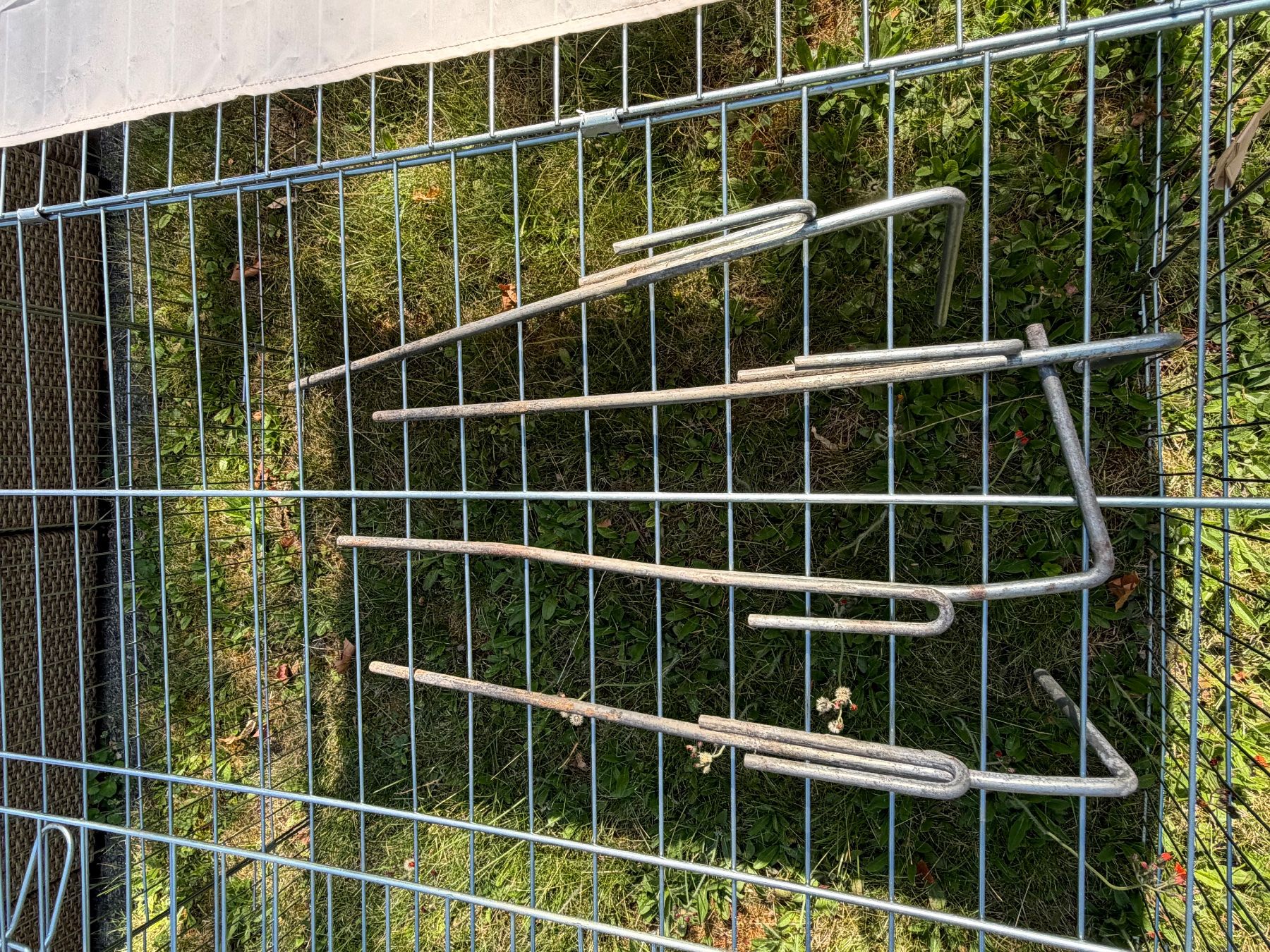 Gitter & Roste: Aussengehege – Gebraucht aus Frauenfeld von witp 3