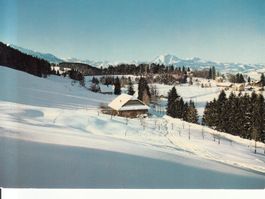 Zugerberg 1985