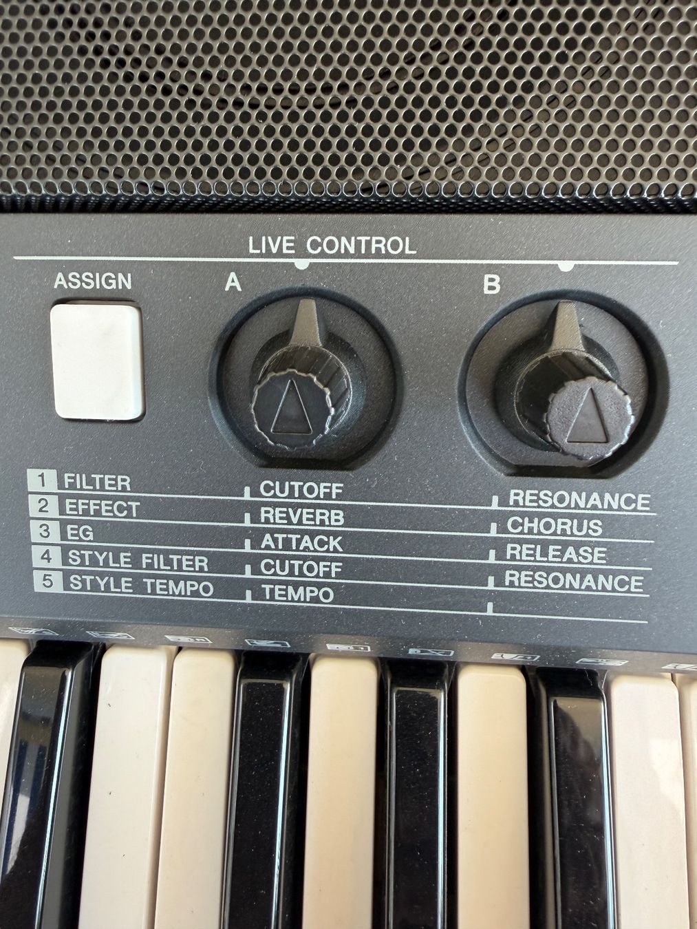 Yamaha Strumenti musicali: Keyboard Yamaha PSR-E423 Serie 1861 – Usato da Gunten venduto da siderato 7