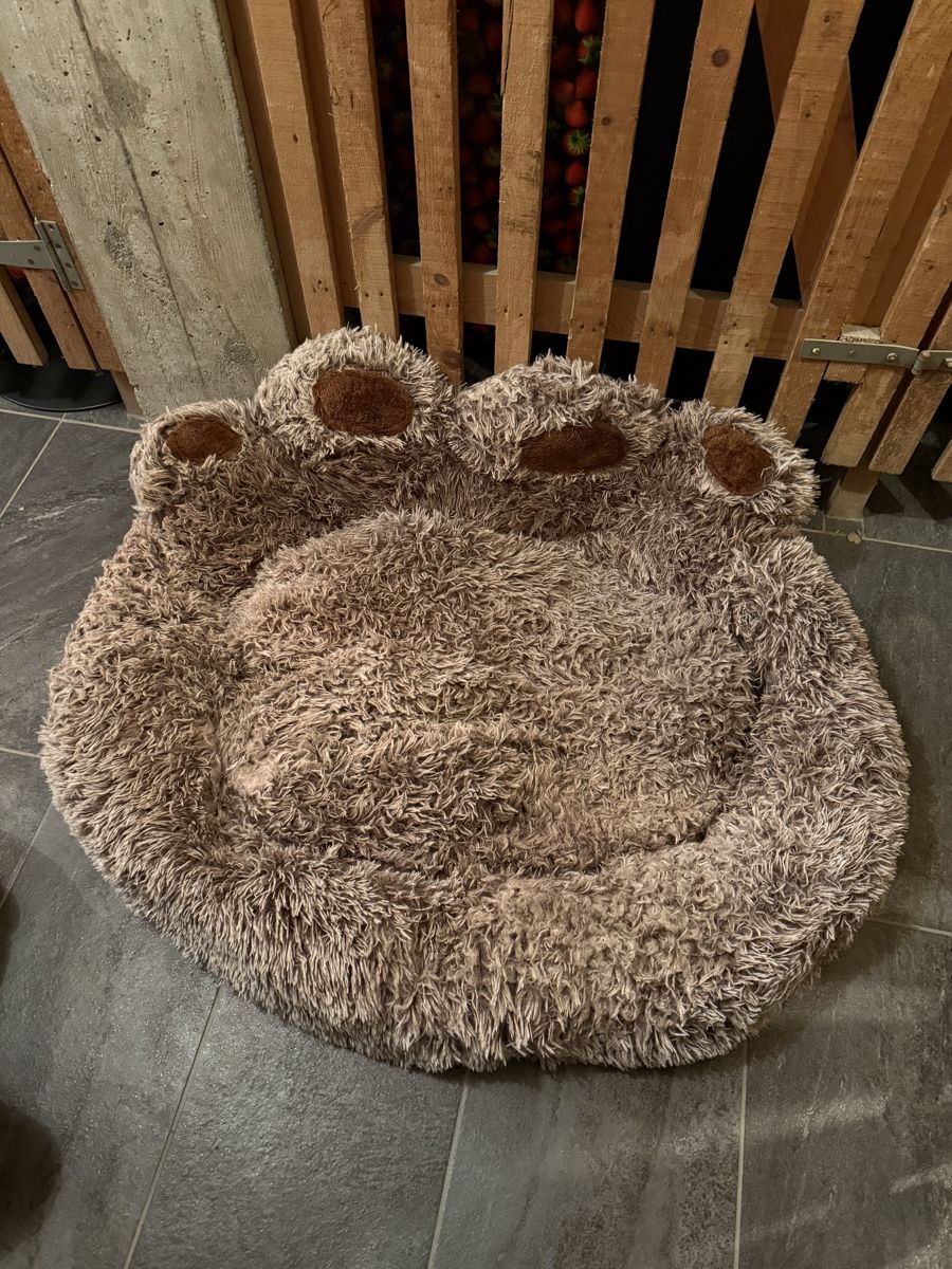 Letti: Hundebett XXL – Usato da Luzern venduto da vivientth