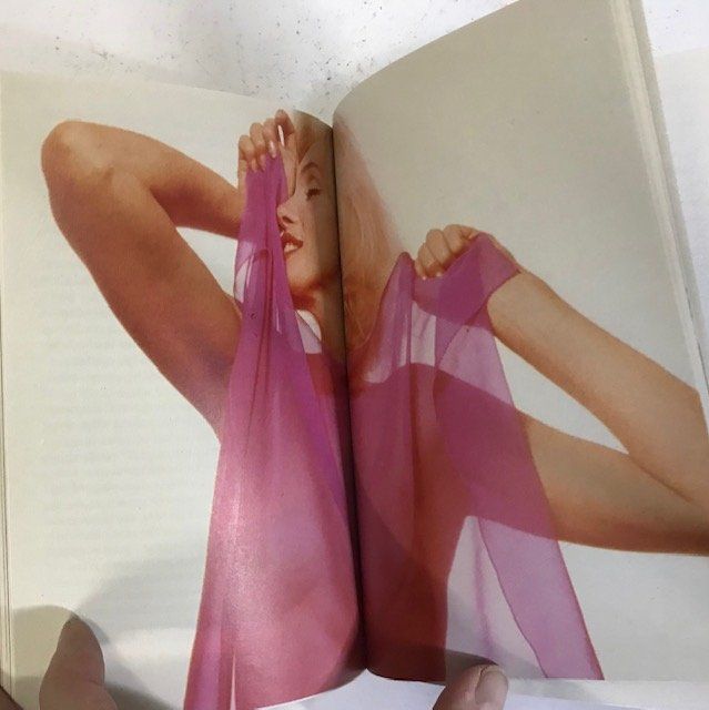 Libri: Marilyn‘s last sitting von Bert Stern – Usato da Zürich venduto da popcorn67 6