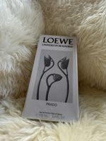 LOEWE un paseo por madrid PRADO