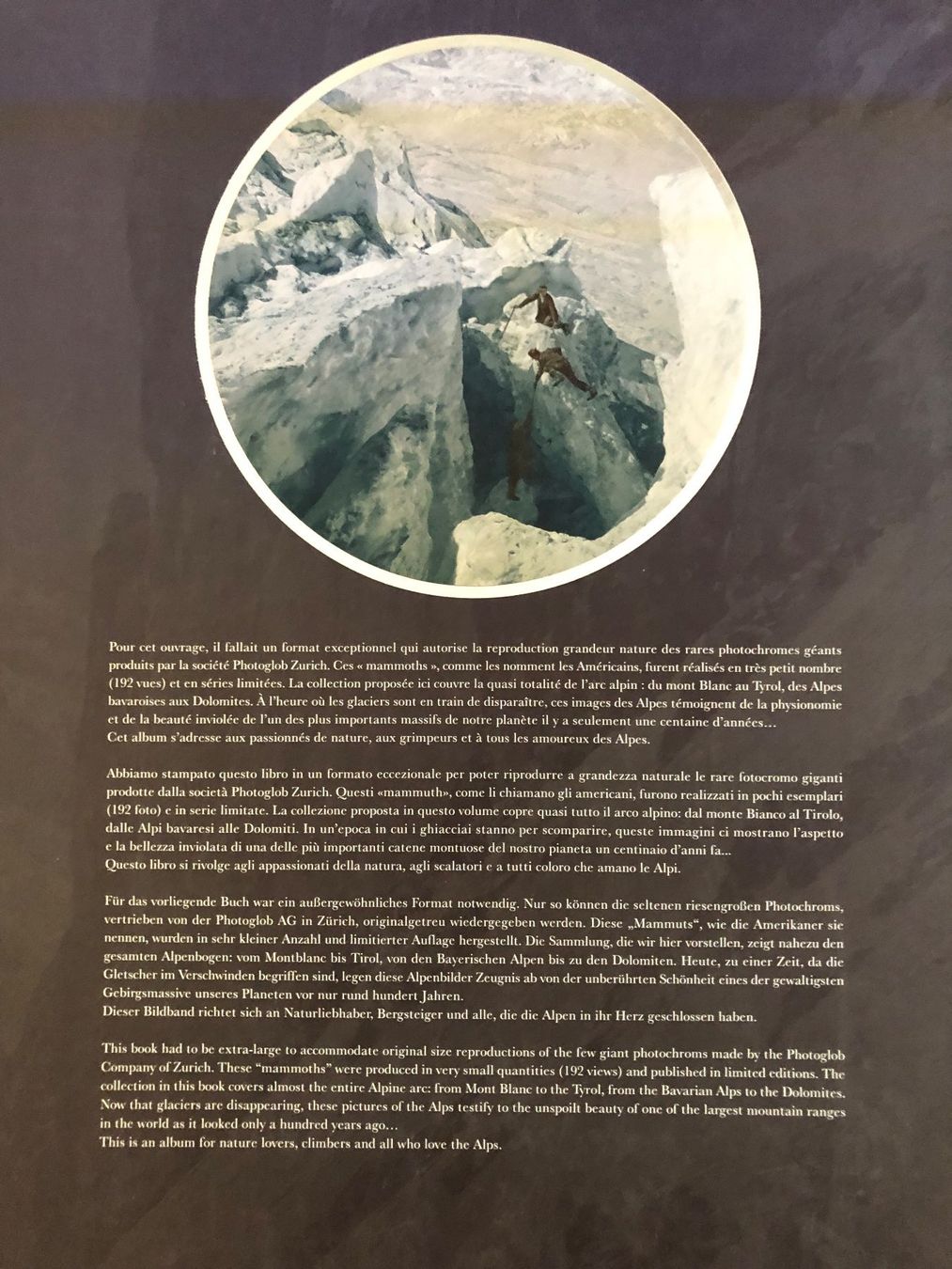 Bücher: Alpes - Alpi - Alpen - Alps – Gebraucht aus Pfäffikon ZH von Wacardo 1