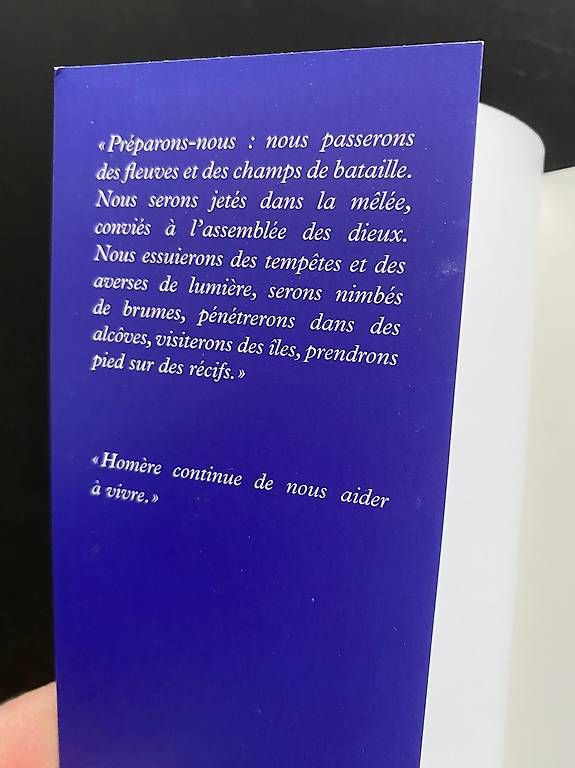 Bücher: Sylvain Tesson.  Un été avec Homère. – Gebraucht aus Zürich von Pascal_2bzx 3