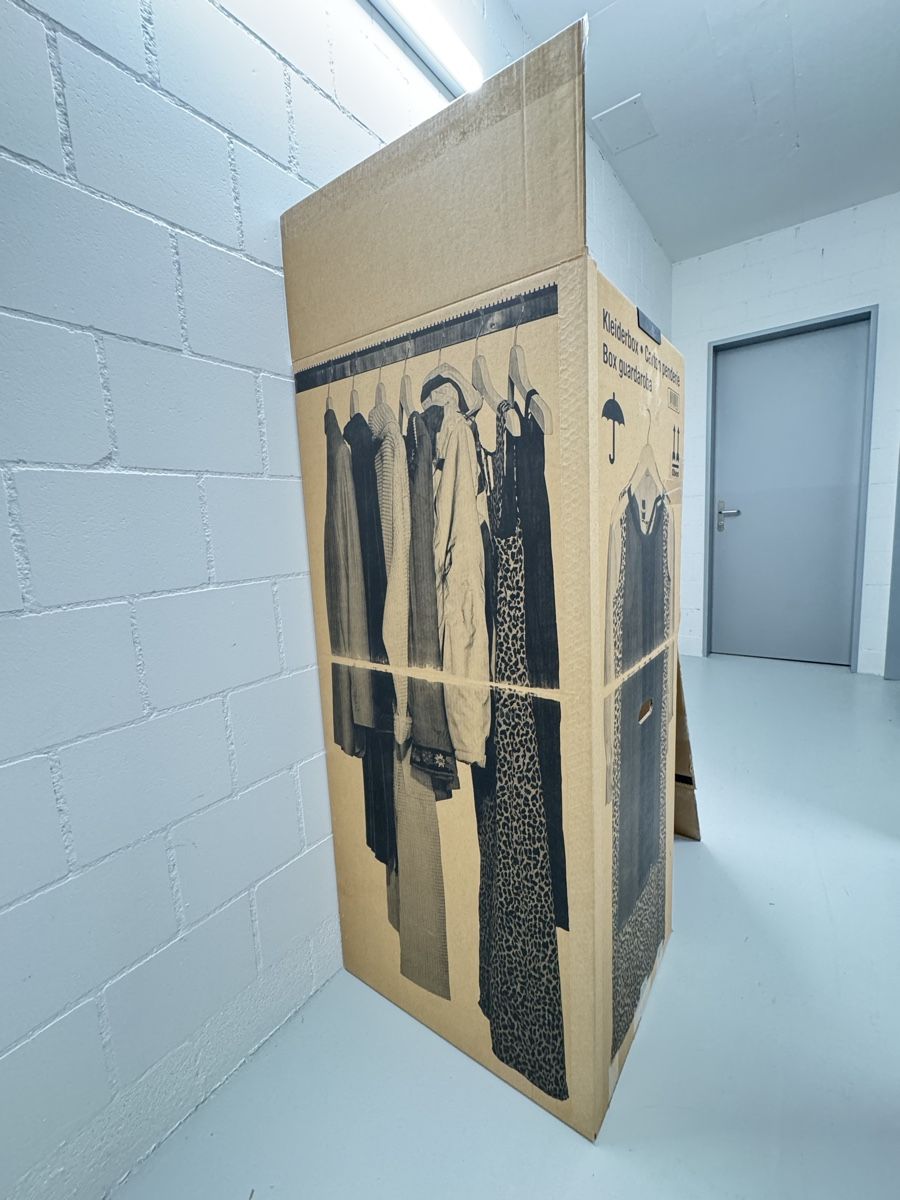 Cartons: Kleiderbox – D'occasion à Staufen par mich_05