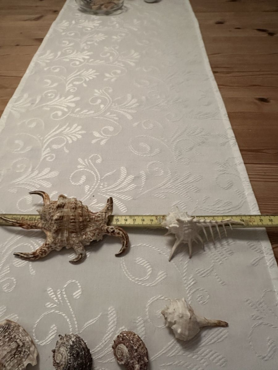 Tutte le decorazioni: Muscheln. – Usato da Schöfflisdorf venduto da Katrins02 4