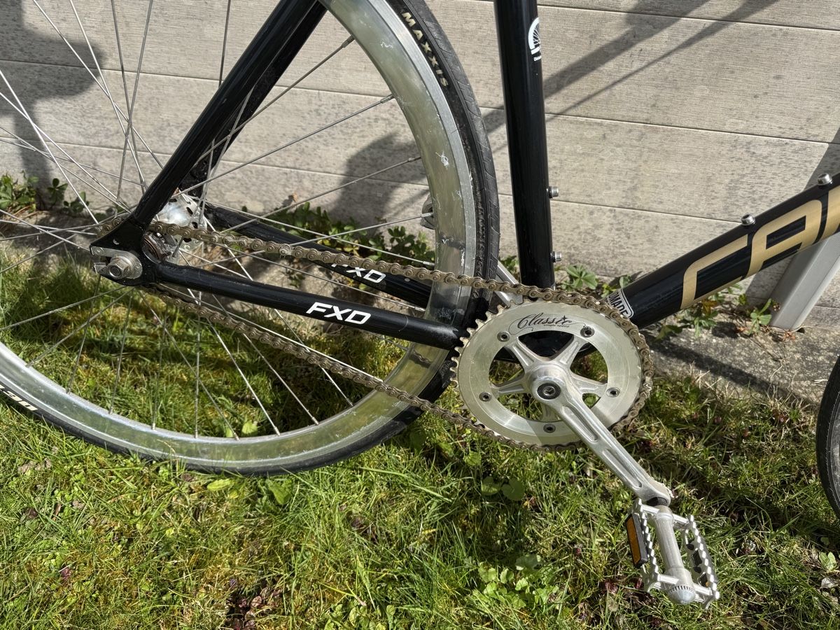 Canyon Velos: Canyon FXD Single Speed, Grösse L – Gebraucht aus Lufingen von steinijr 5