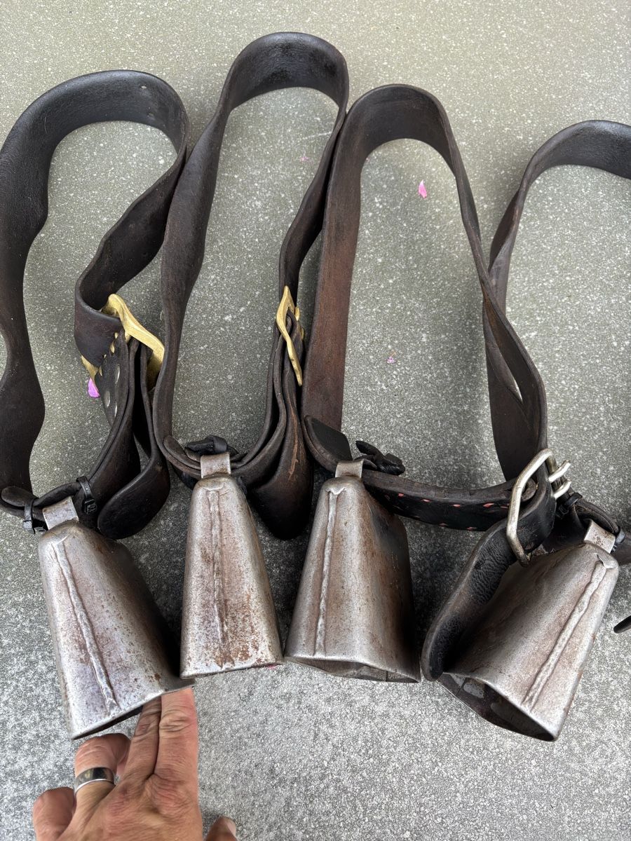 Campanacci mucche: 4x Gotthardt NR 4. – Usato da Schangnau venduto da Roseggli82 4