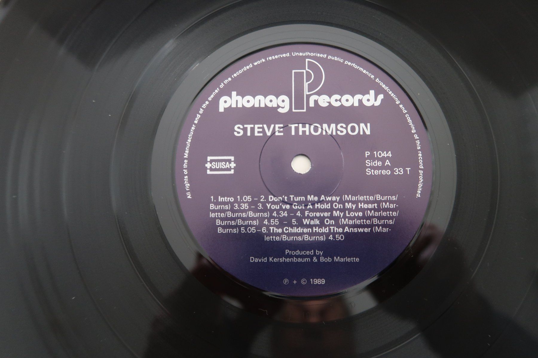 Dischi in vinile: STEVE THOMSON - ST - CH MELODIC HARD ROCK - VINYL LP – Usato da Basel venduto da Patiscat 2