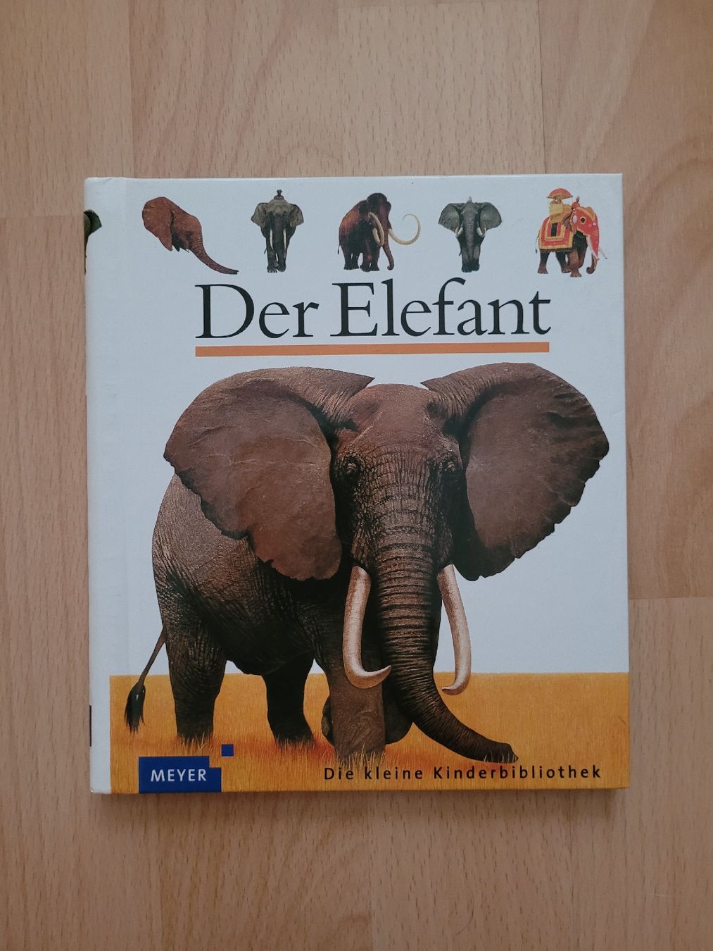 Bücher: der Elefant – Gebraucht aus Perlen von Safari_23