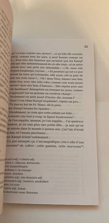 Livres: Irène Némirovsky; Le bal – D'occasion à Schlieren par may_h2yx 2