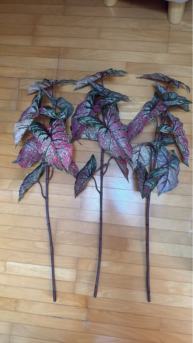 Pflanzen & Samen: Kunstpflanze Caladium mehrfarbig – Gebraucht aus Winkel von _OachKatzerl_