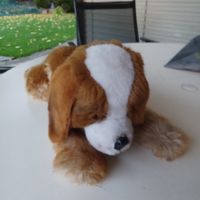 Steiff kuscheliger grosser 40 cm langer Bernhardiner