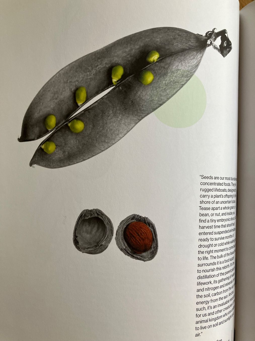 Libri: Studio Olafur Eliasson: The Kitchen Kochbuch – Usato da Basel venduto da papageientulpe 1