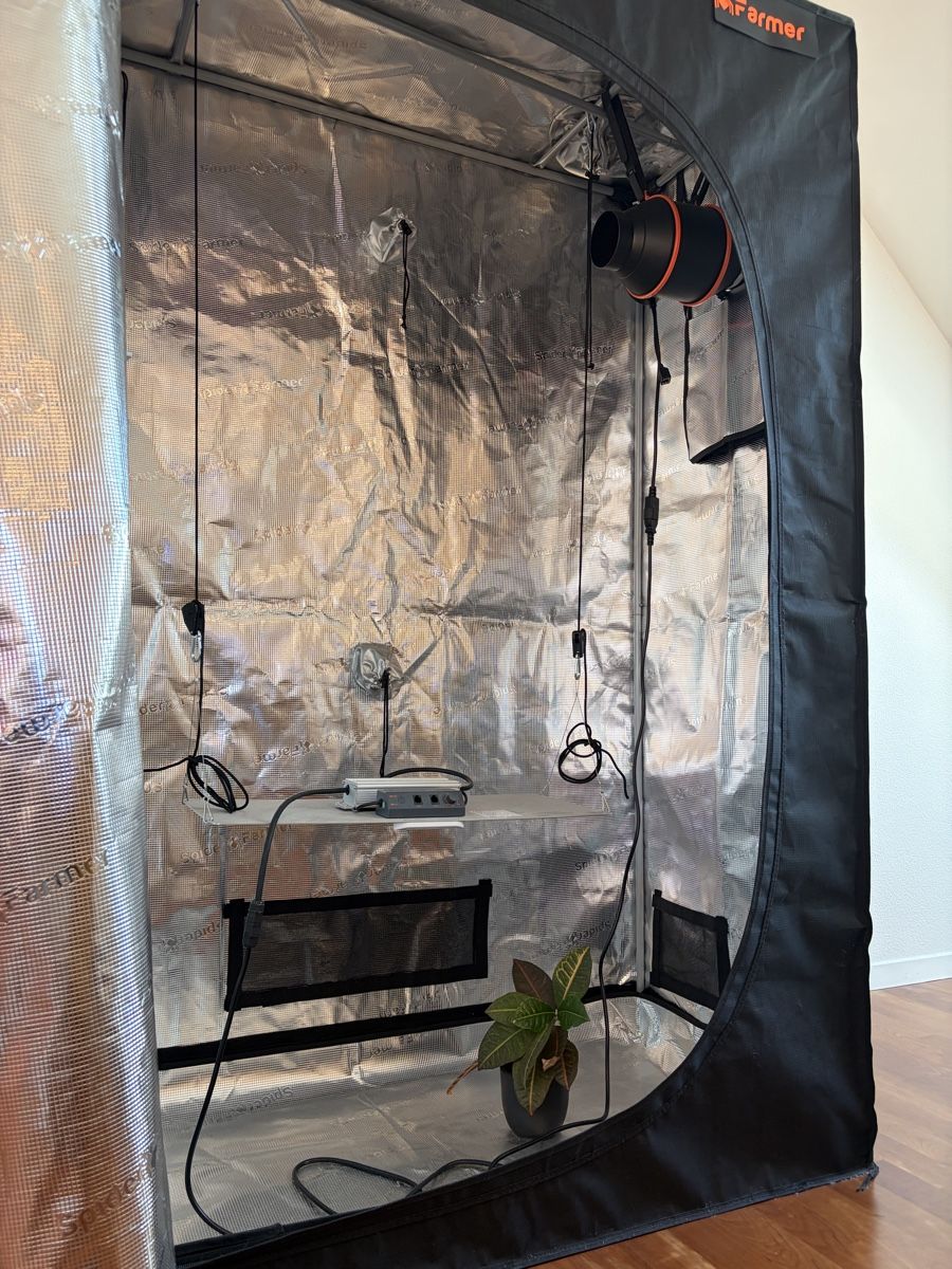 Homebox Altro: Grow Zelt Indoor – Usato da Bern venduto da paulliii 1