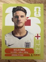 Panini ENG 10