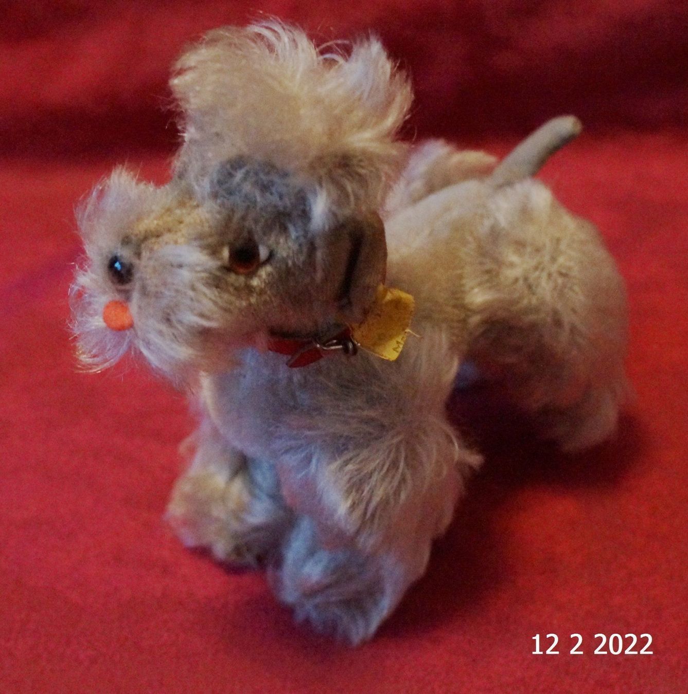 Steiff Giocattoli: Steiff Hund ca.1960er – Usato da Basel venduto da The_Onliners 1