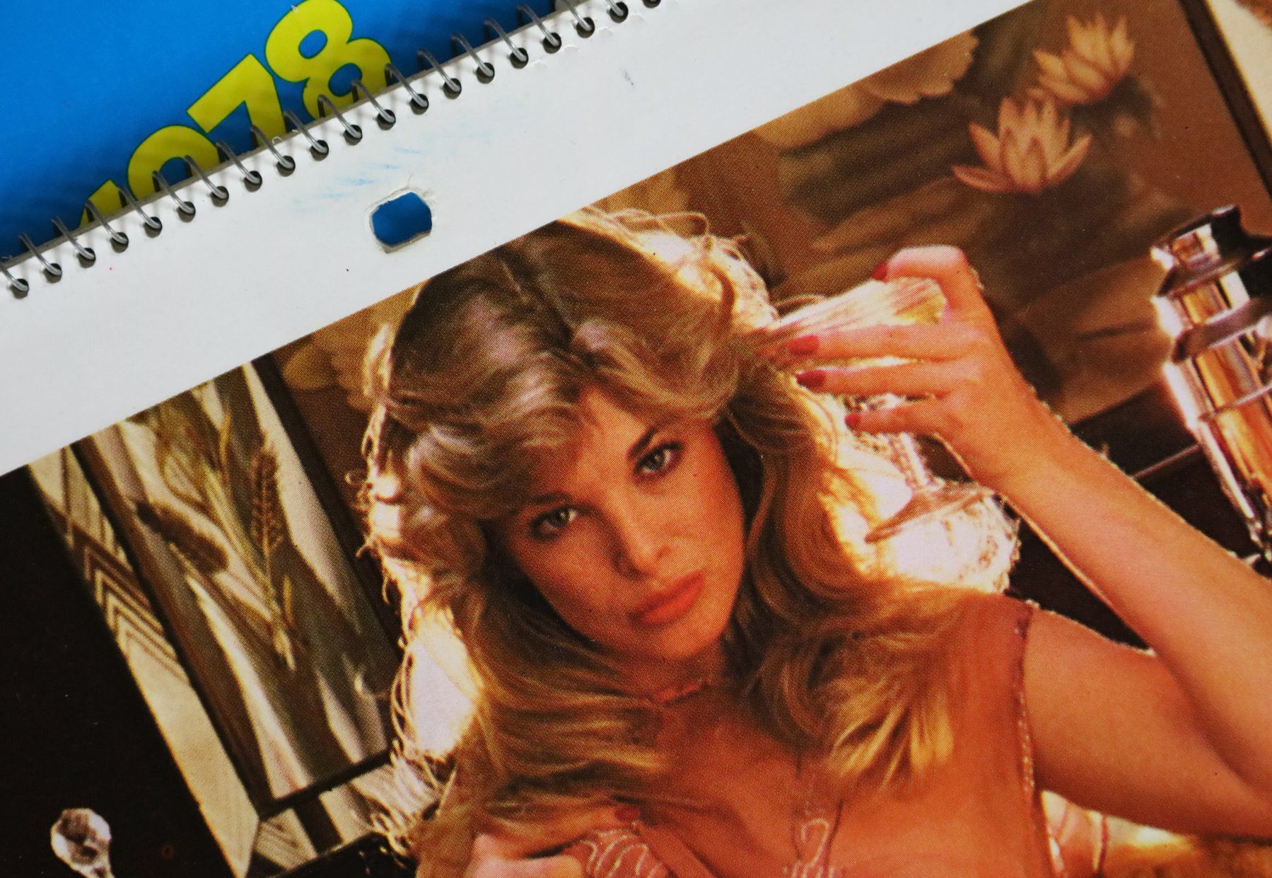 Playboy Calendari: PLAYBOY Kalender 1978 – Usato da Birrwil venduto da brandschatz_birrwil 1