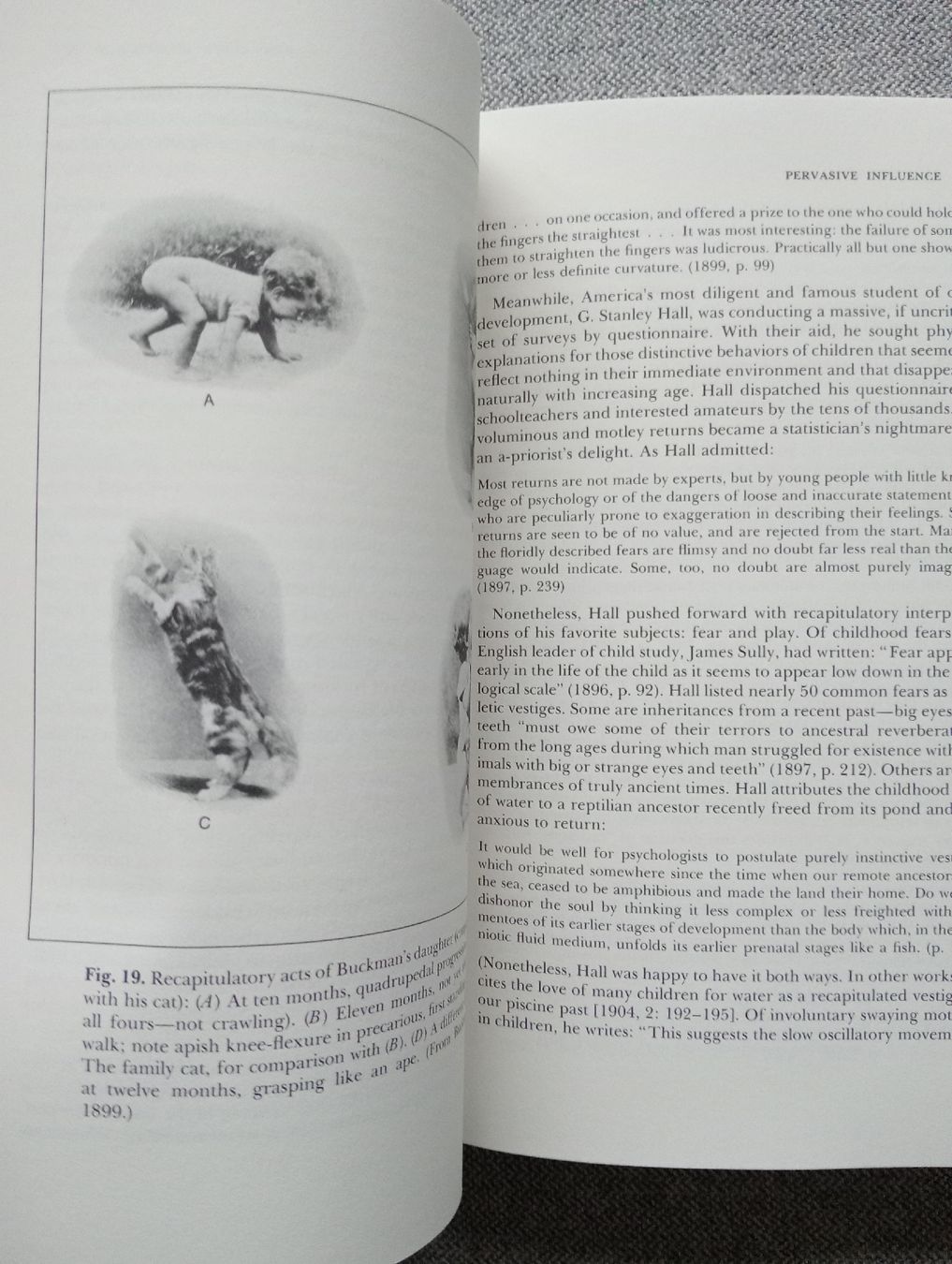 Libri: Ontogeny and Phylogeny Jay Gould 1977 – Usato da Allschwil venduto da Evgeniia78 2