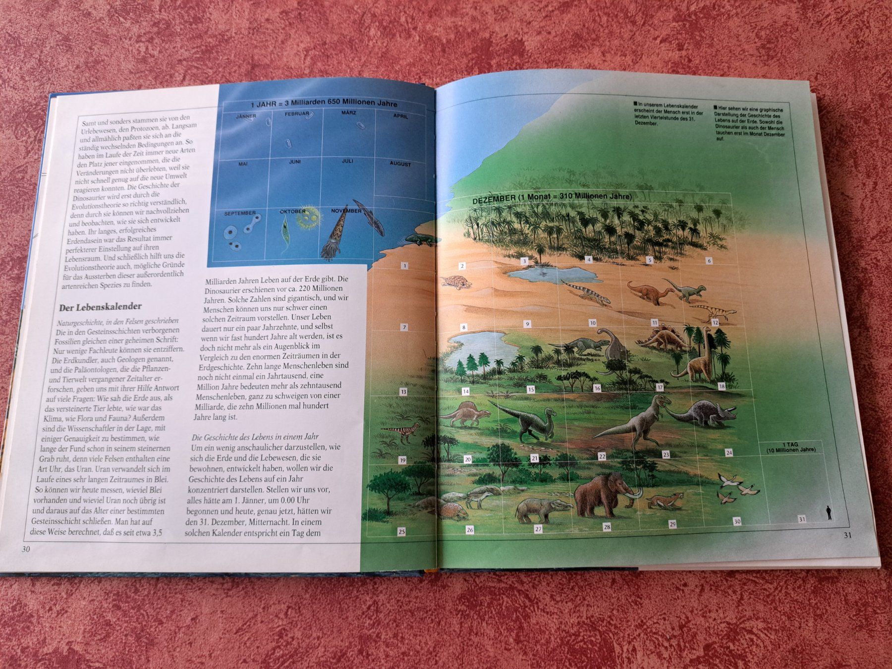 Libri: Die Welt der Dinosaurier- Jugendbuch – Usato da Oberburg venduto da portzi1 1