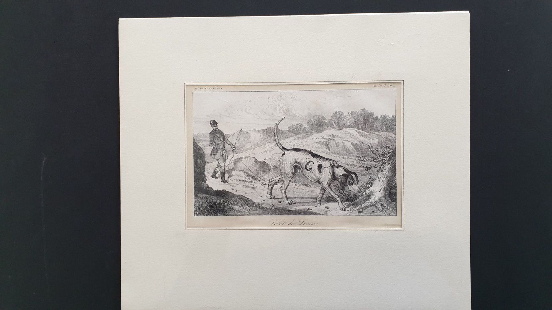 Grafica & Litografie: Jagd. Lithographie. 19. Jh. – Usato da Goldach venduto da armando_r 1